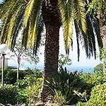Hotel&residence Matarese Hotel