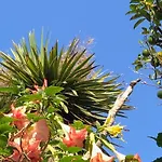 Hotel Hotel&residence Matarese
