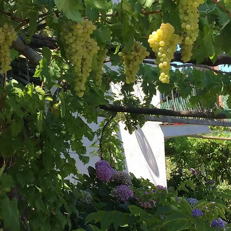 & Matarese Hotel Casamicciola Terme