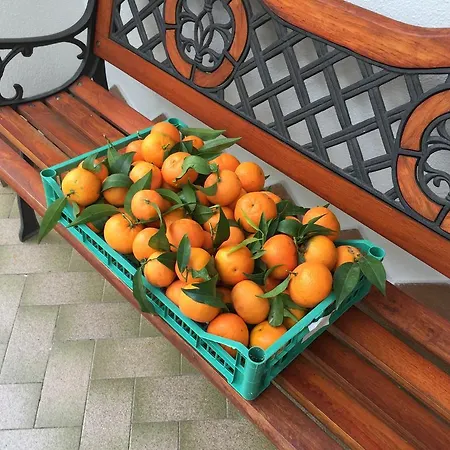 & Matarese Hotel Casamicciola Terme