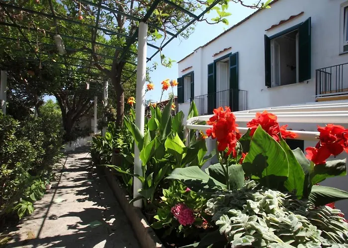 酒店 迈特丽思酒店 3*